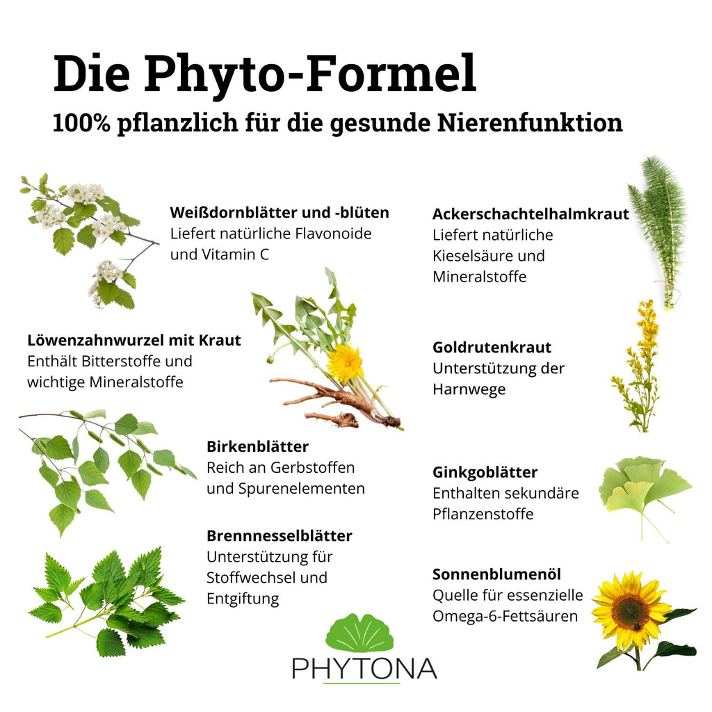 Phytona Nephroten 1500g