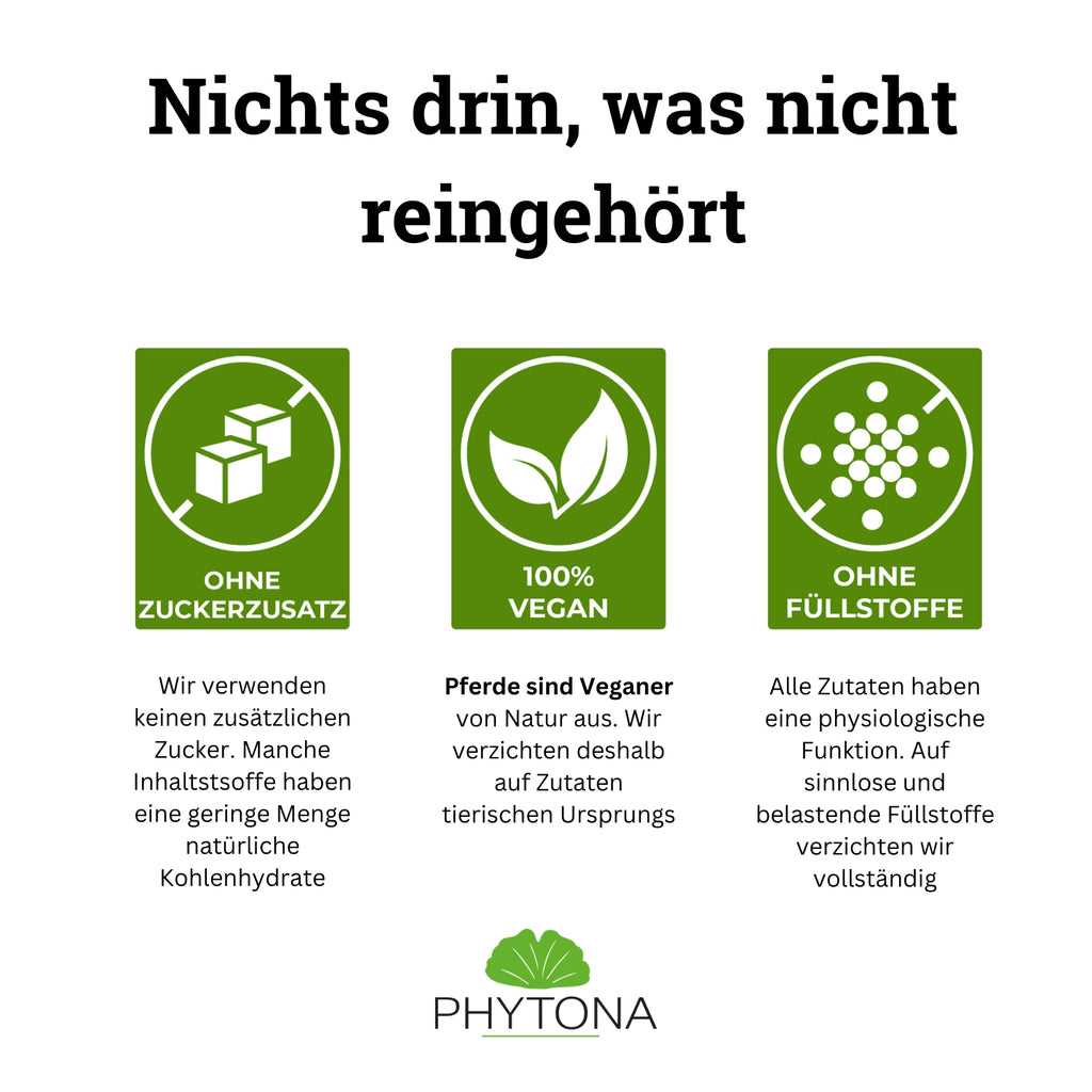 Phytona Nephroten 1500g