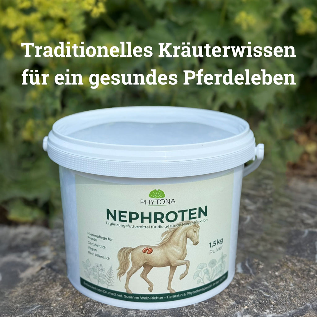 Phytona Nephroten 1500g