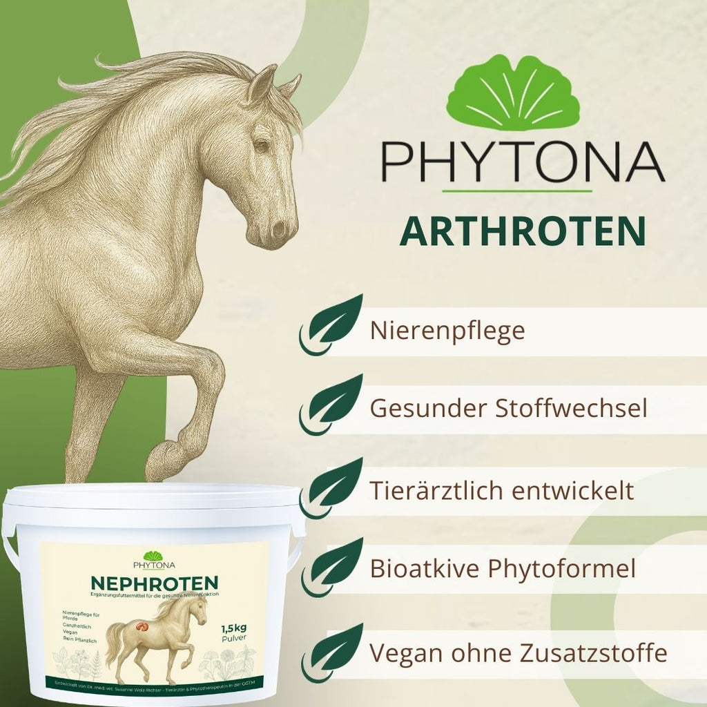 Phytona Nephroten 1500g