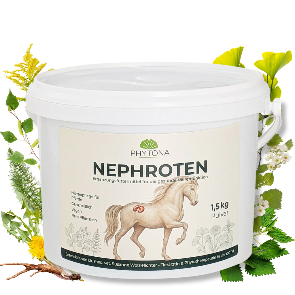 Phytona Nephroten 1500g