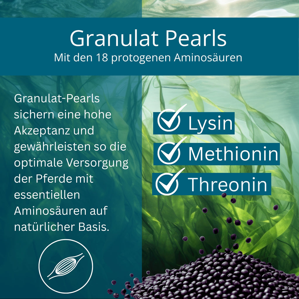 Equidocs MyoCheval Muskelaufbau Pearls für Pferde 1500g