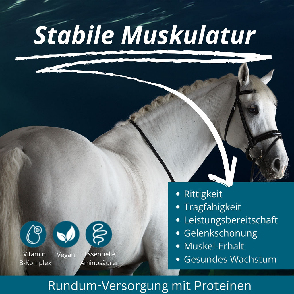 Equidocs MyoCheval Muskelaufbau Pearls für Pferde 1500g