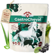Equidocs GastroCheval 1500g