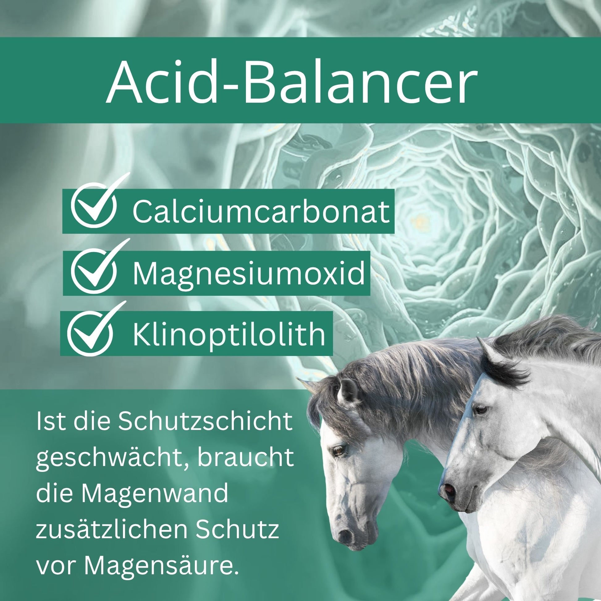 Equidocs GastroCheval 1500g