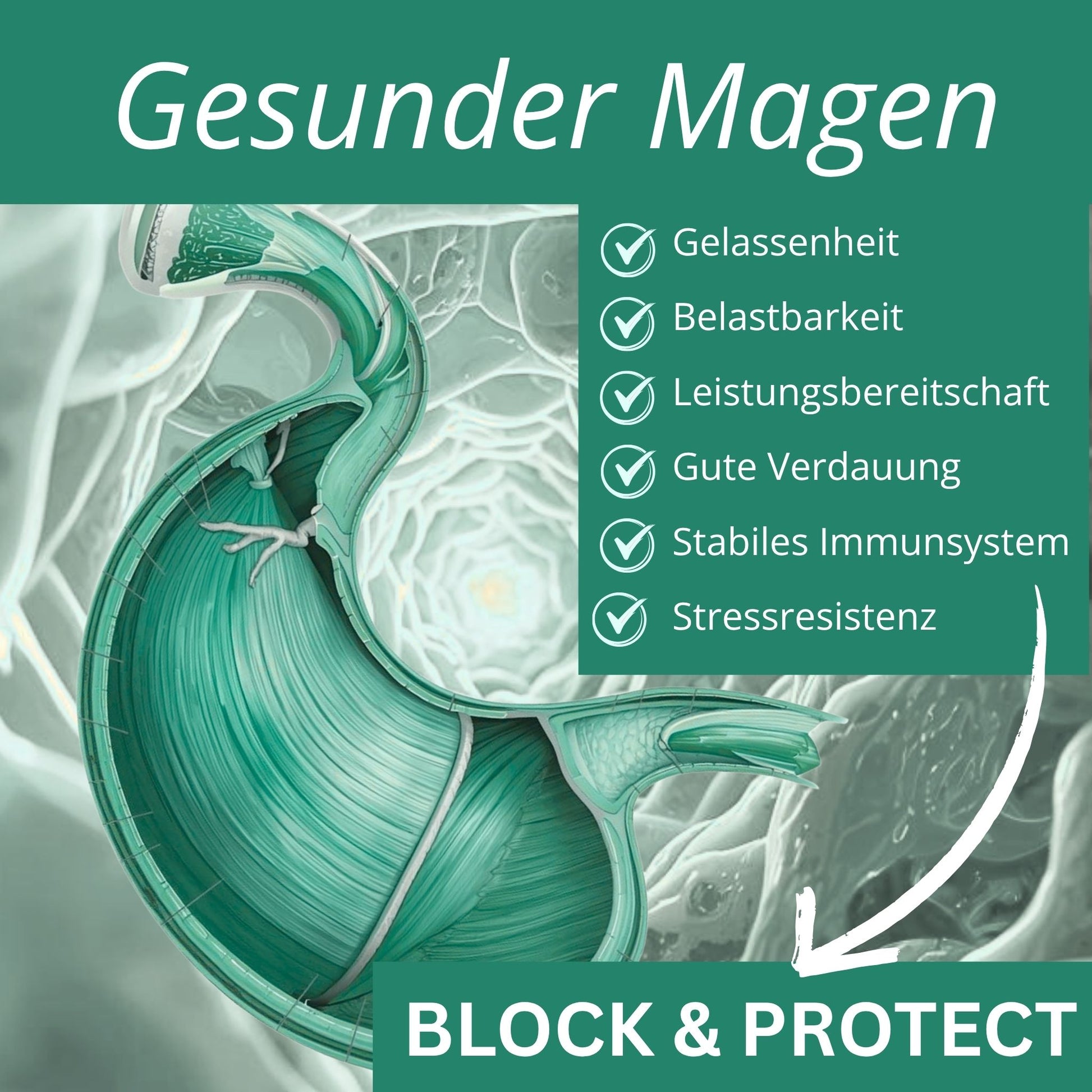 Equidocs GastroCheval 1500g