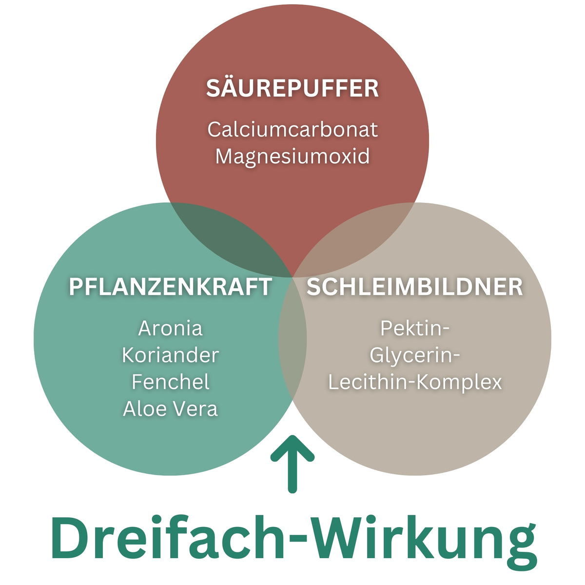 Equidocs GastroCheval 1500g