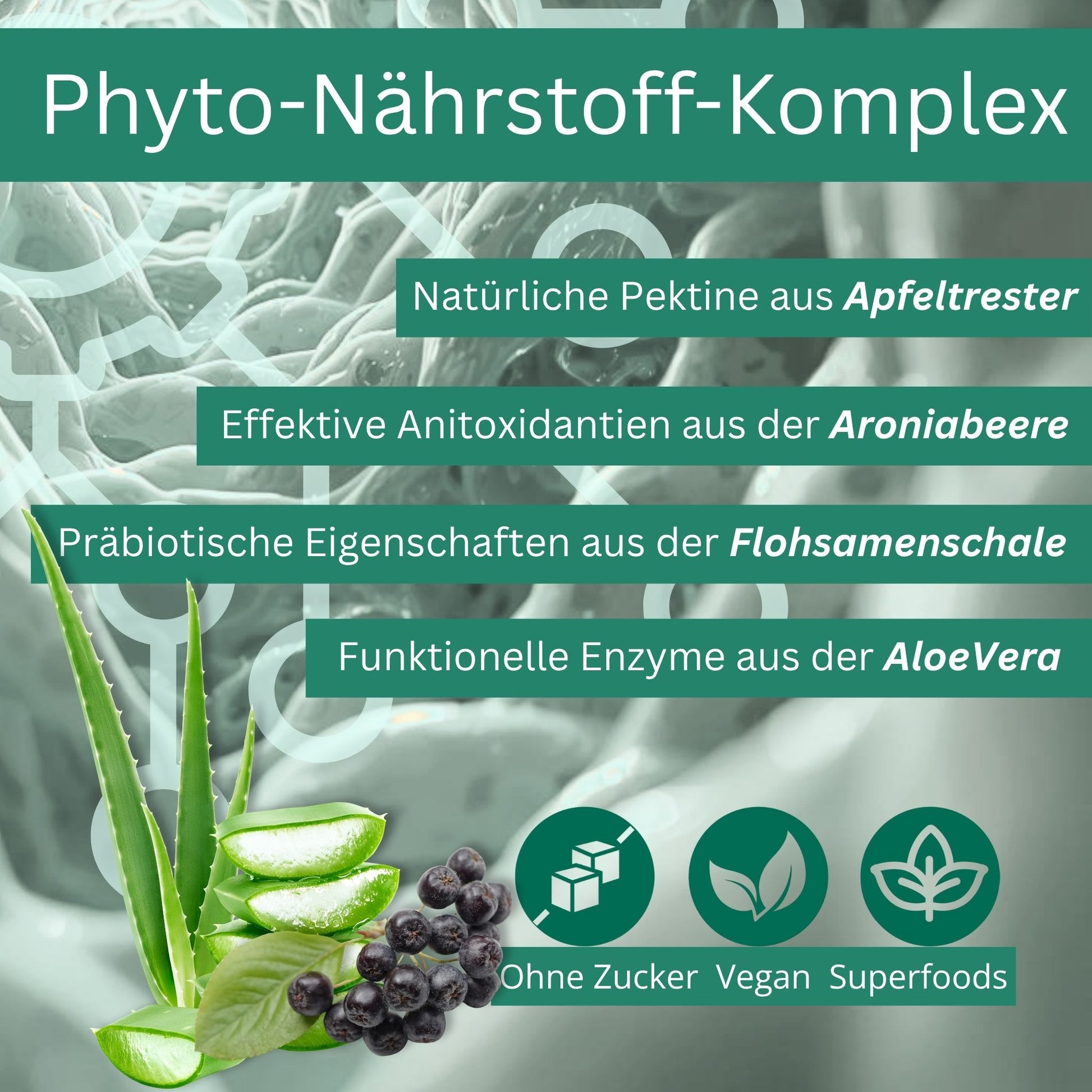 Equidocs GastroCheval 1500g