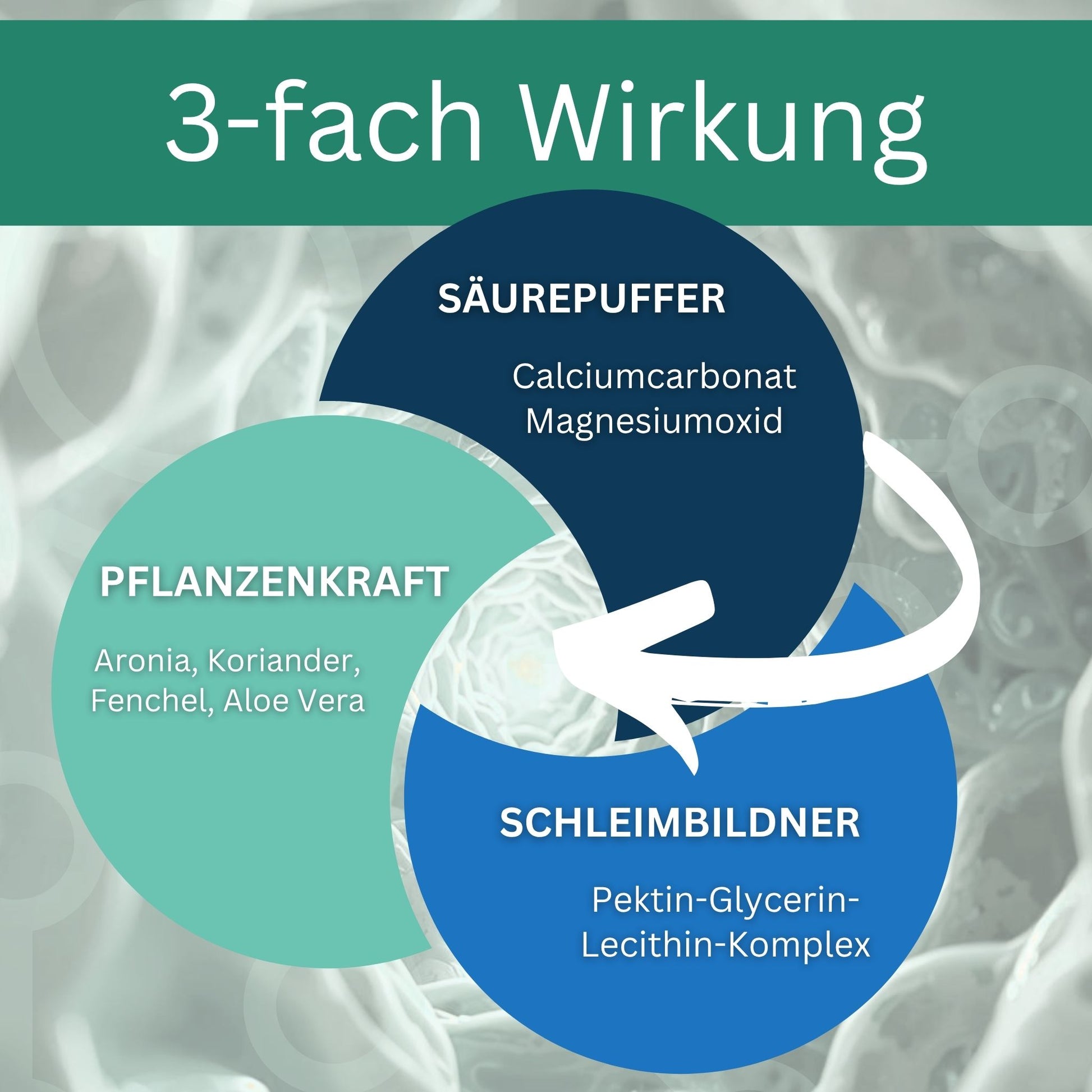 Equidocs GastroCheval 1500g