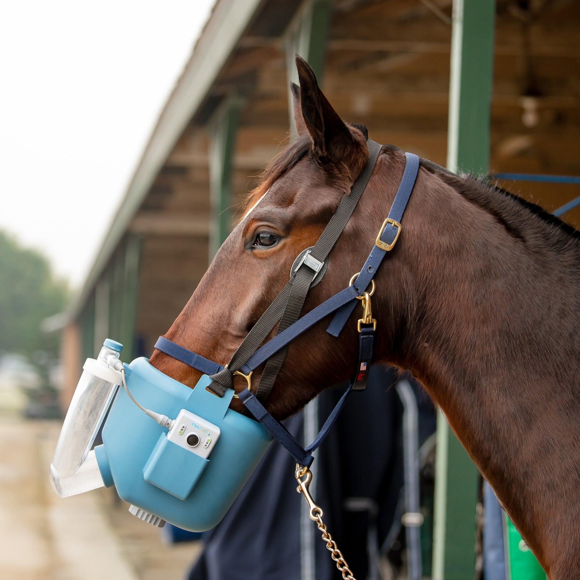 Flexineb E3 Inhalator für Pferde Komplettset Standardgröße Blau