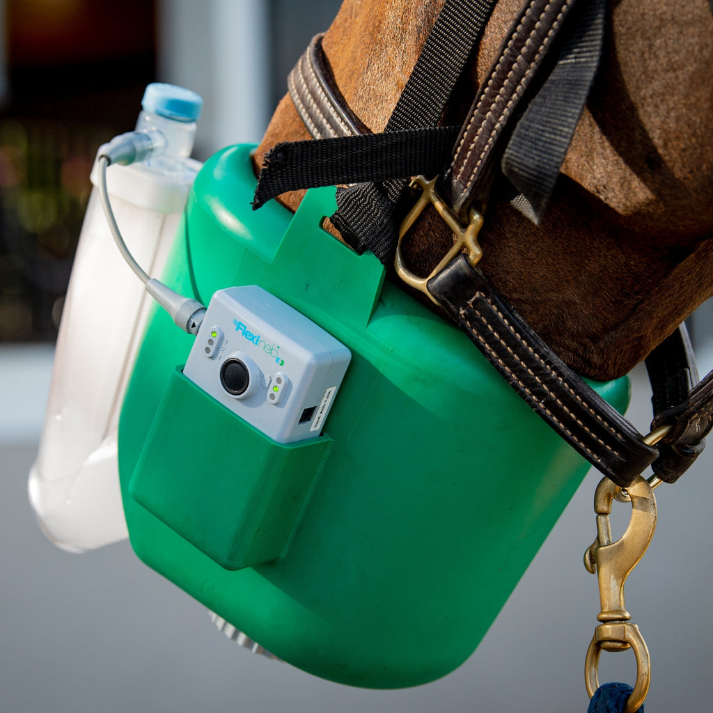 Flexineb E3 Inhalator für Pferde Komplettset Standardgröße Grün