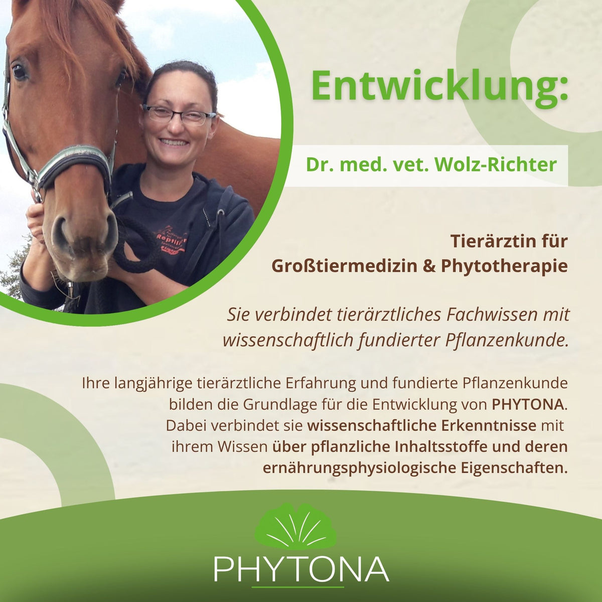11586 – Bild 50