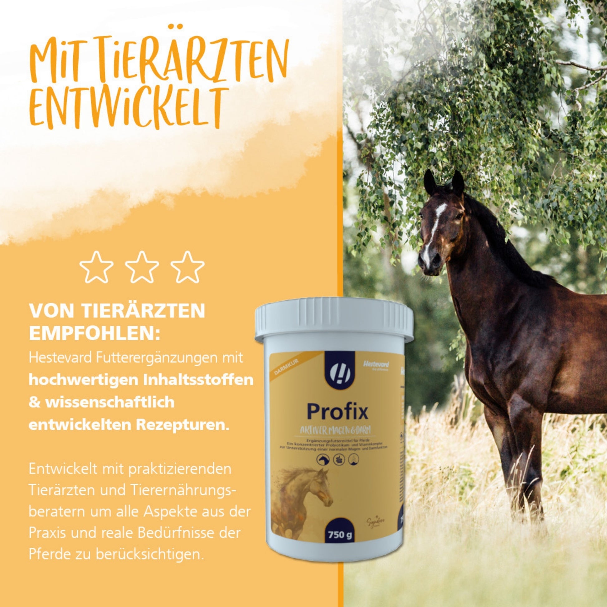 Hestevard Profix für Pferde 750g