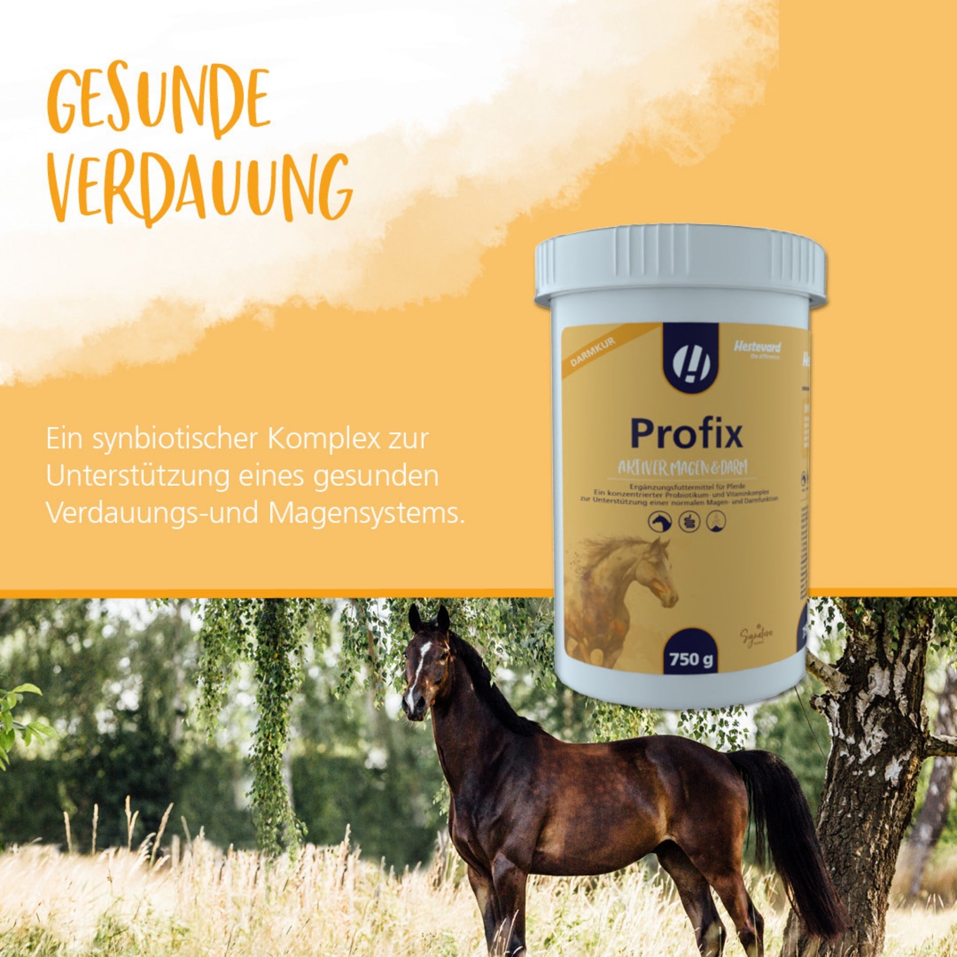 Hestevard Profix für Pferde 2kg