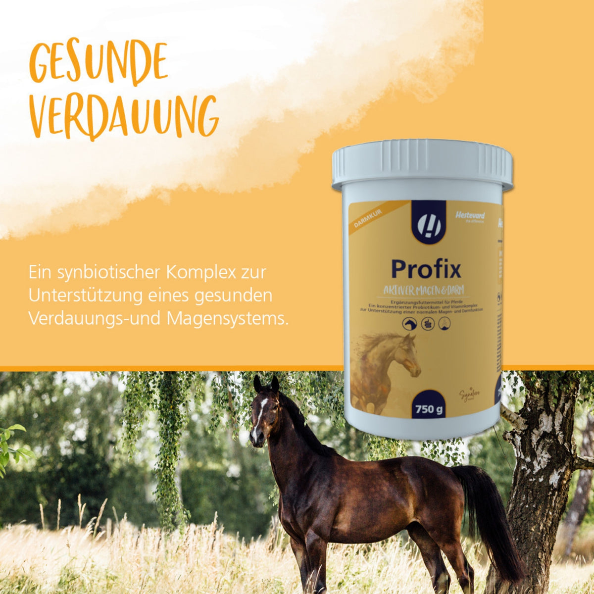 Hestevard Profix für Pferde 2kg