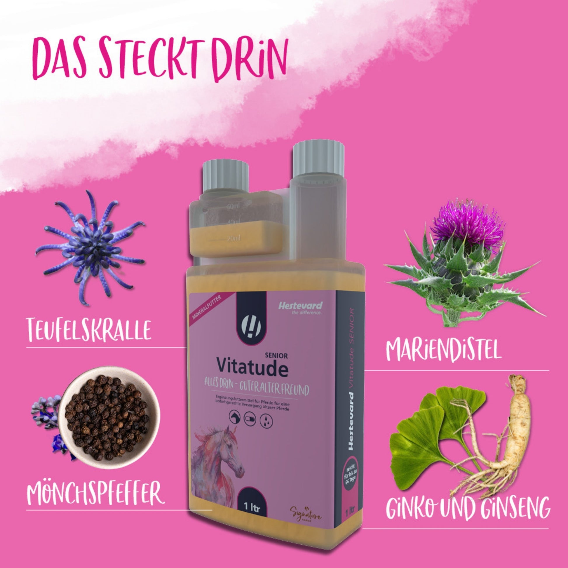 Hestevard Vitatude Senior für Pferde 1000ml