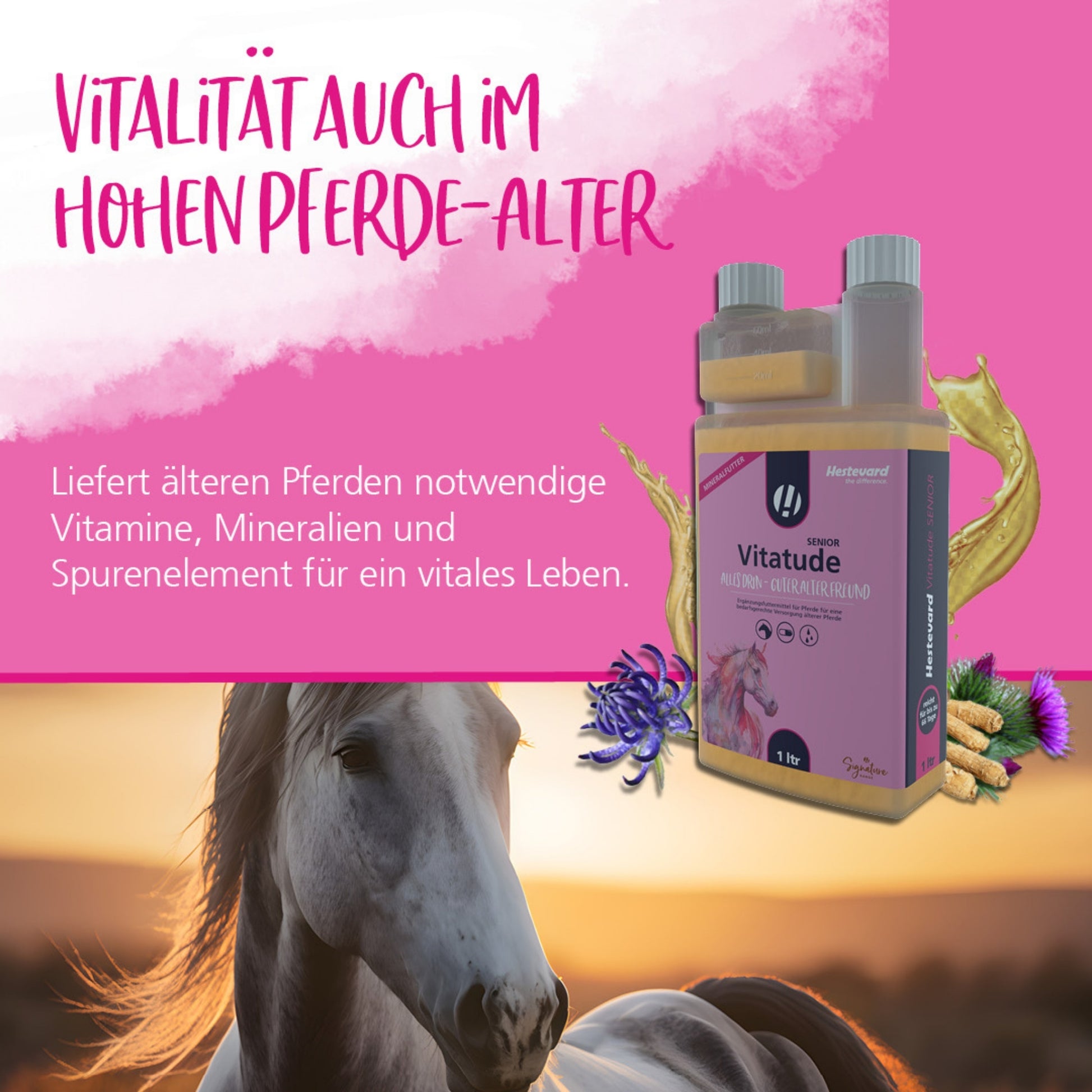 Hestevard Vitatude Senior für Pferde 1000ml