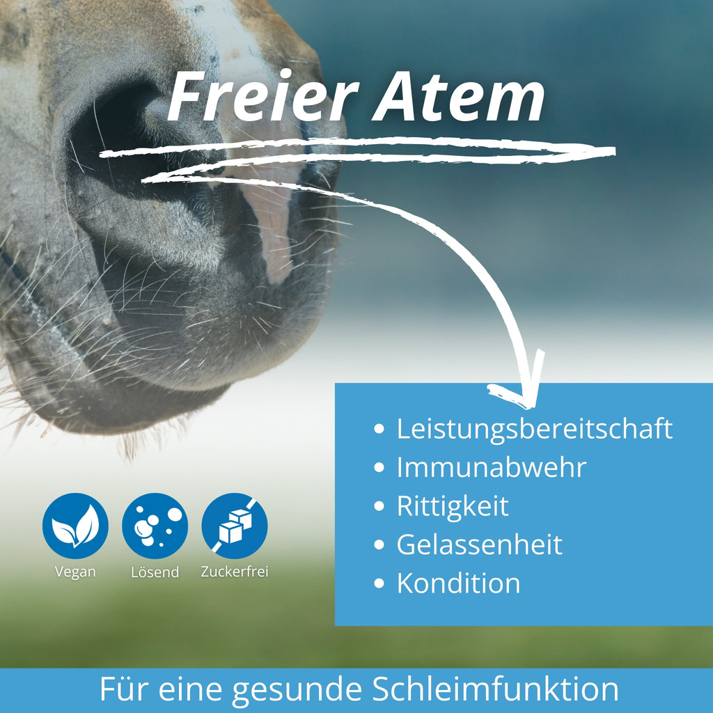 11679 – Bild 2