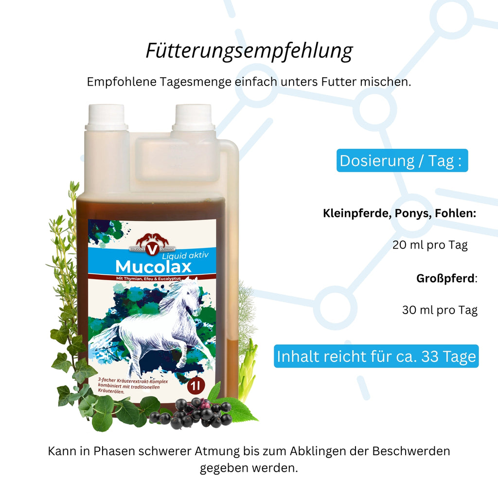 11679 – Bild 5