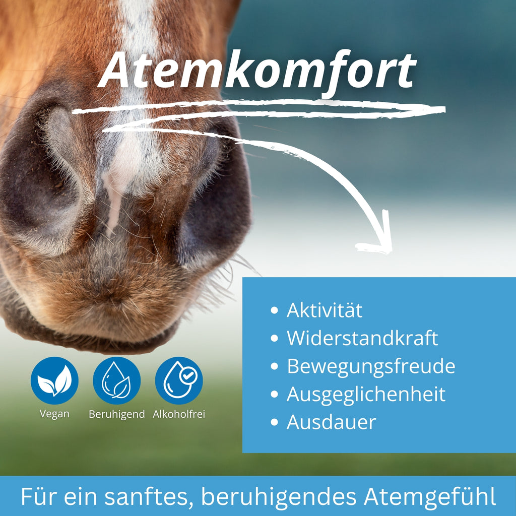 Equidocs Bronchilax 1000ml