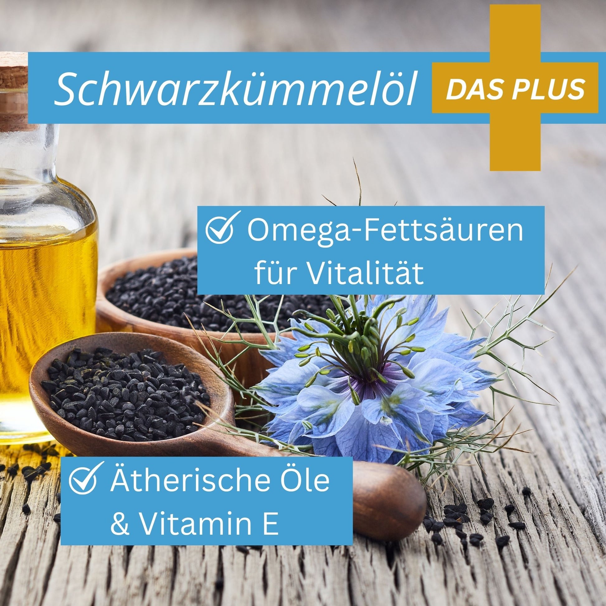 Equidocs Bronchilax 1000ml