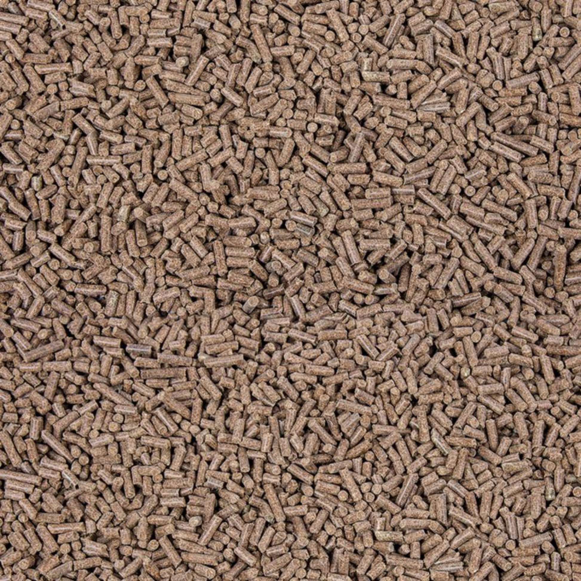 11712 – Bild 1