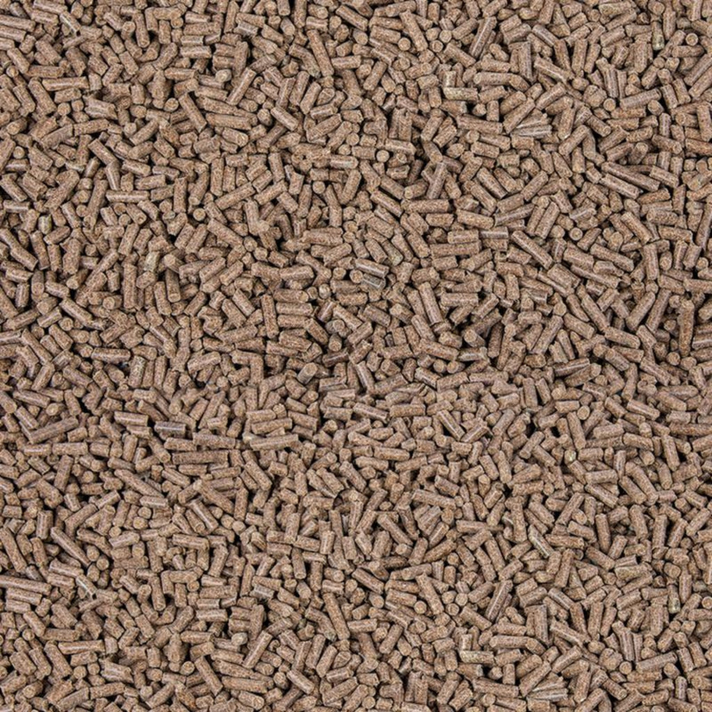 11712 – Bild 1