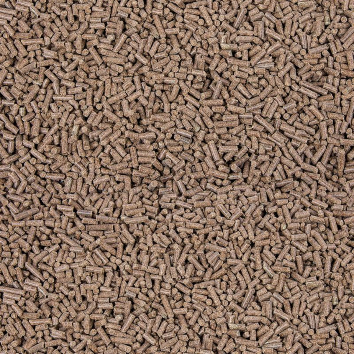 11712 – Bild 1