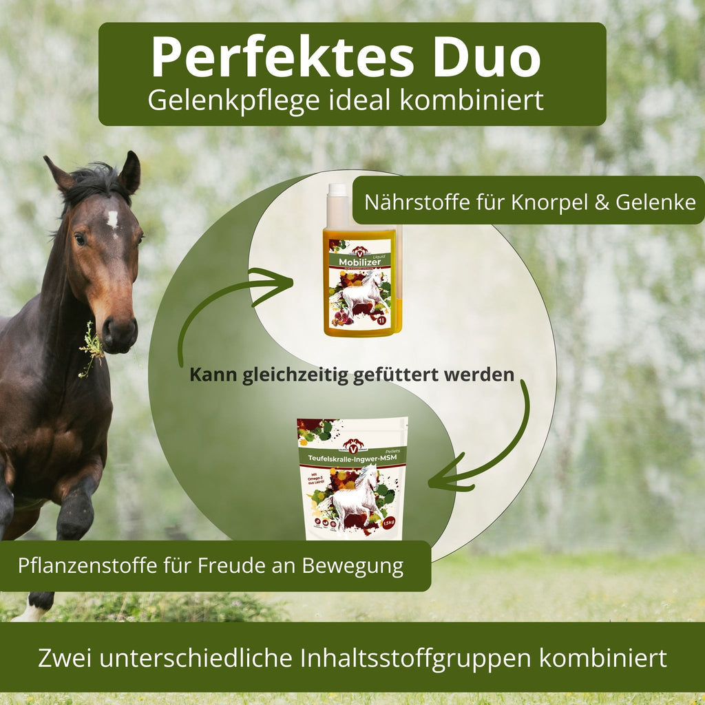 11726 – Bild 20