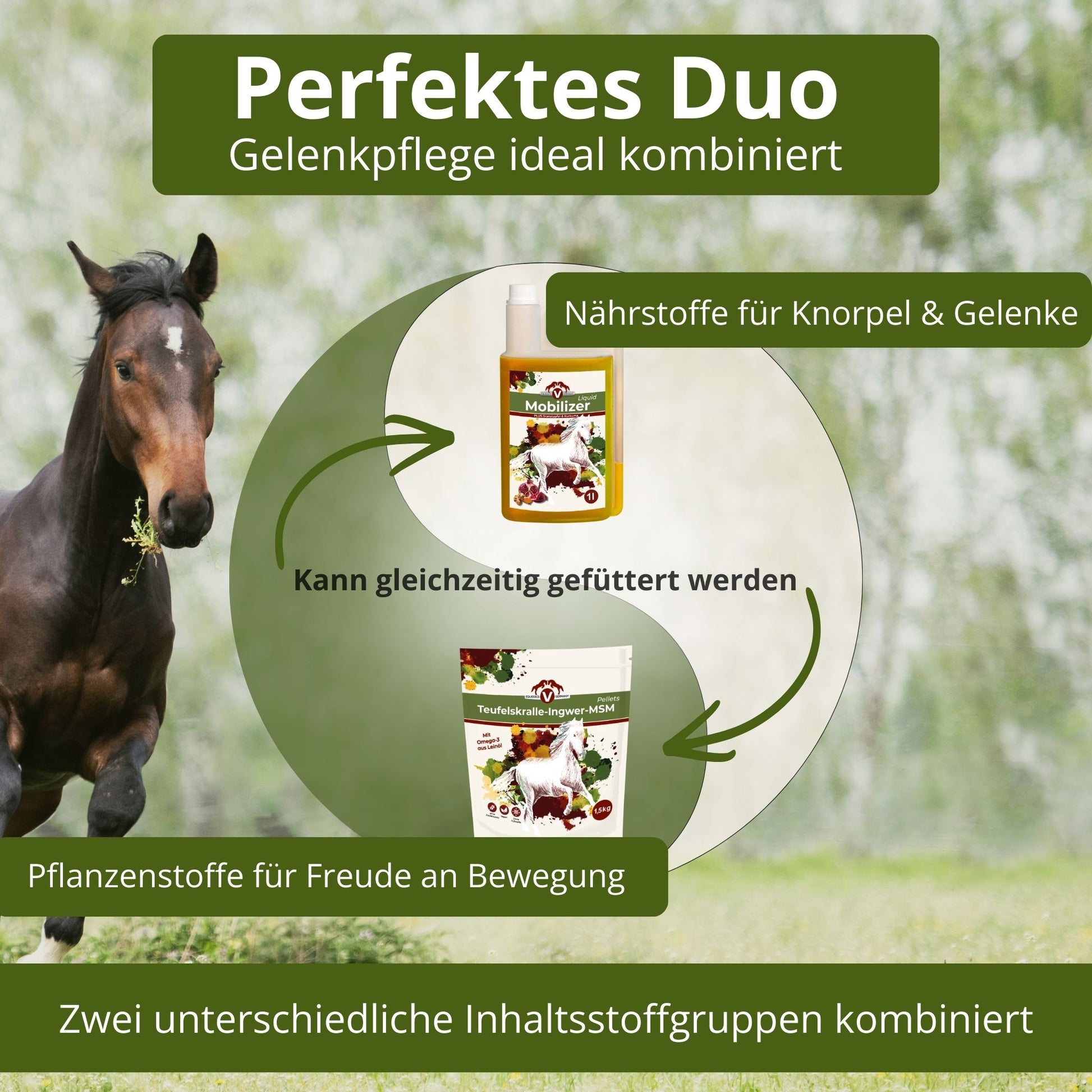 11726 – Bild 20
