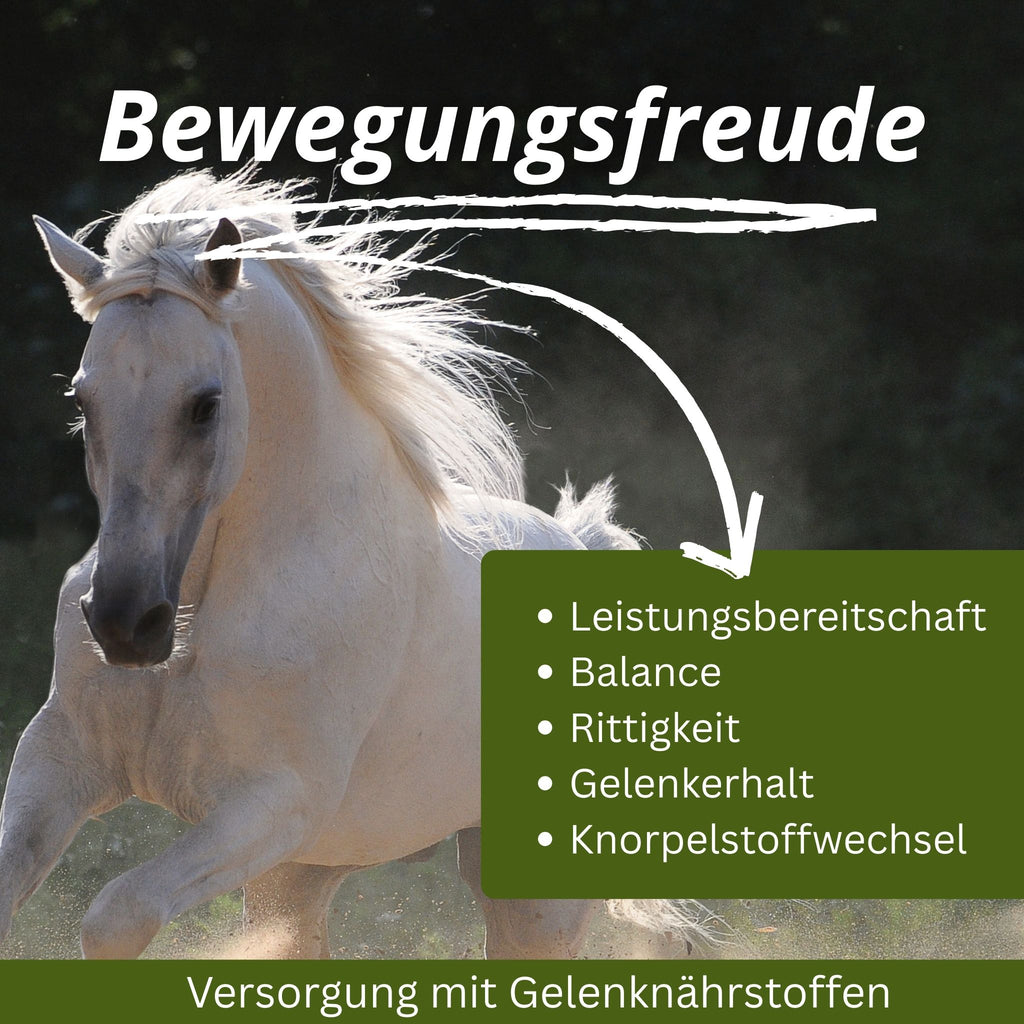 11726 – Bild 40