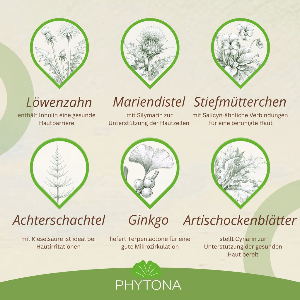 11735 – Bild 30