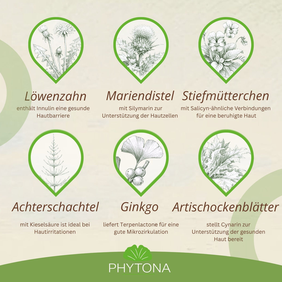 11735 – Bild 30