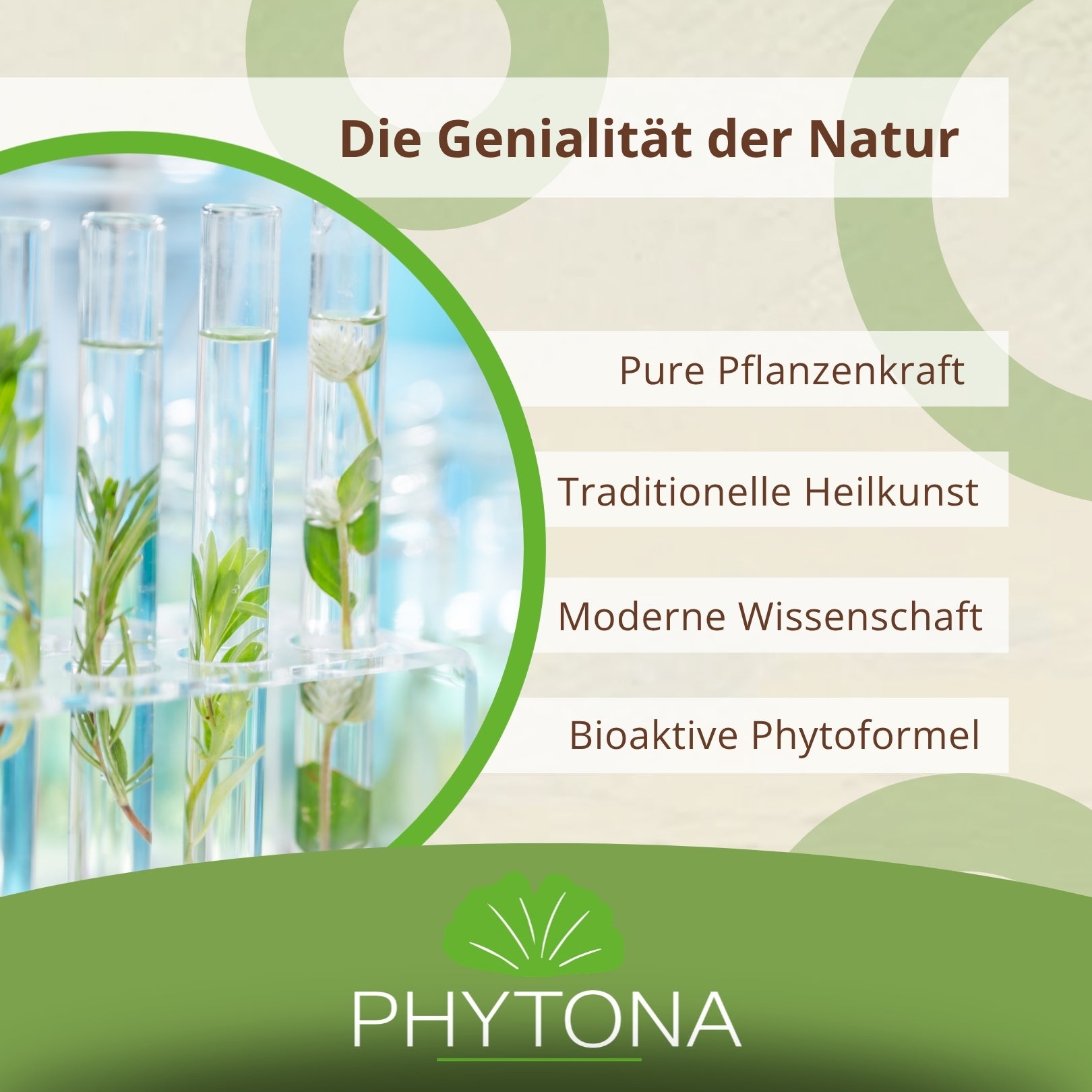Phytona Dermaten 1500g Pflanzlicher Hautkomplex für Pferde