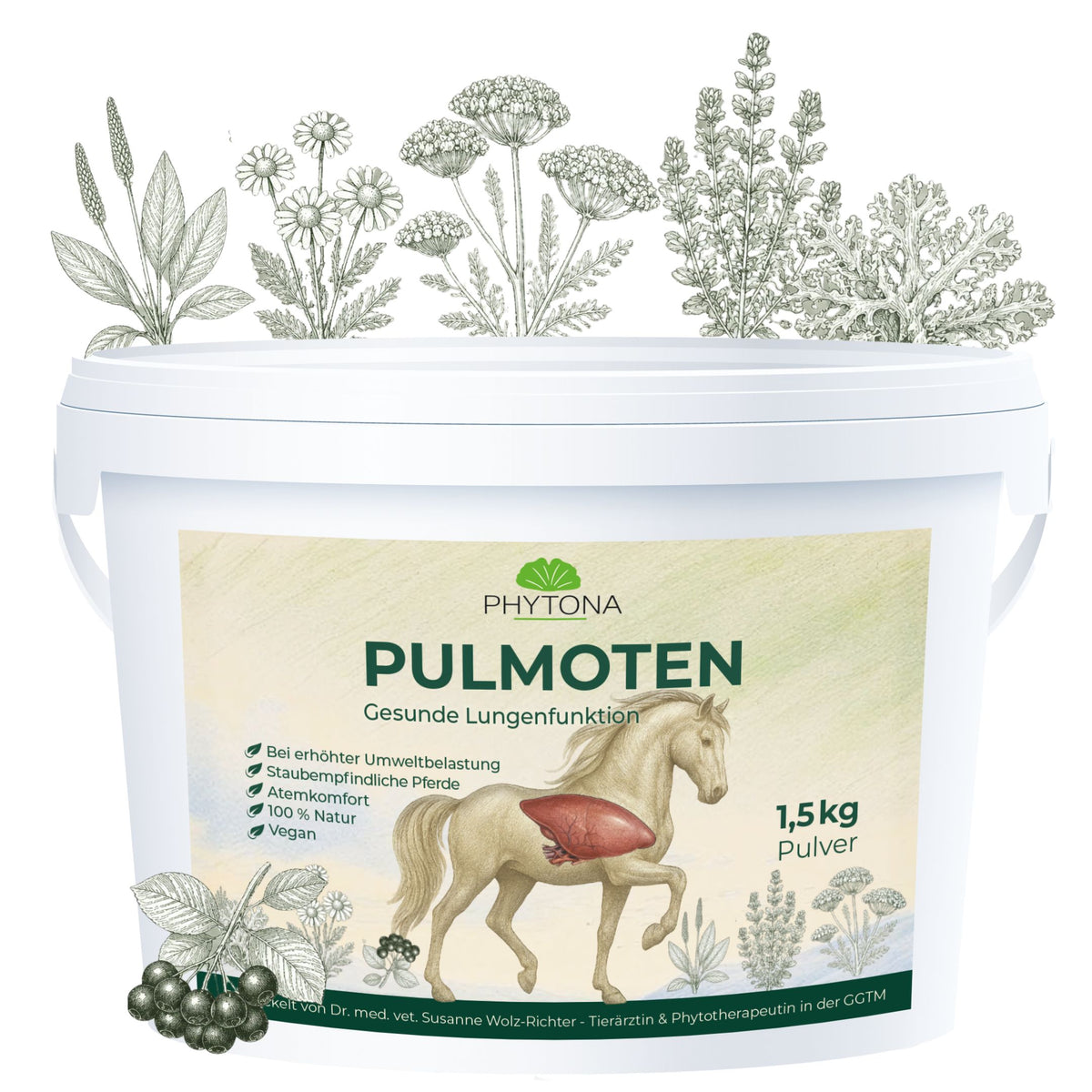 Phytona Pulmoten 1500g