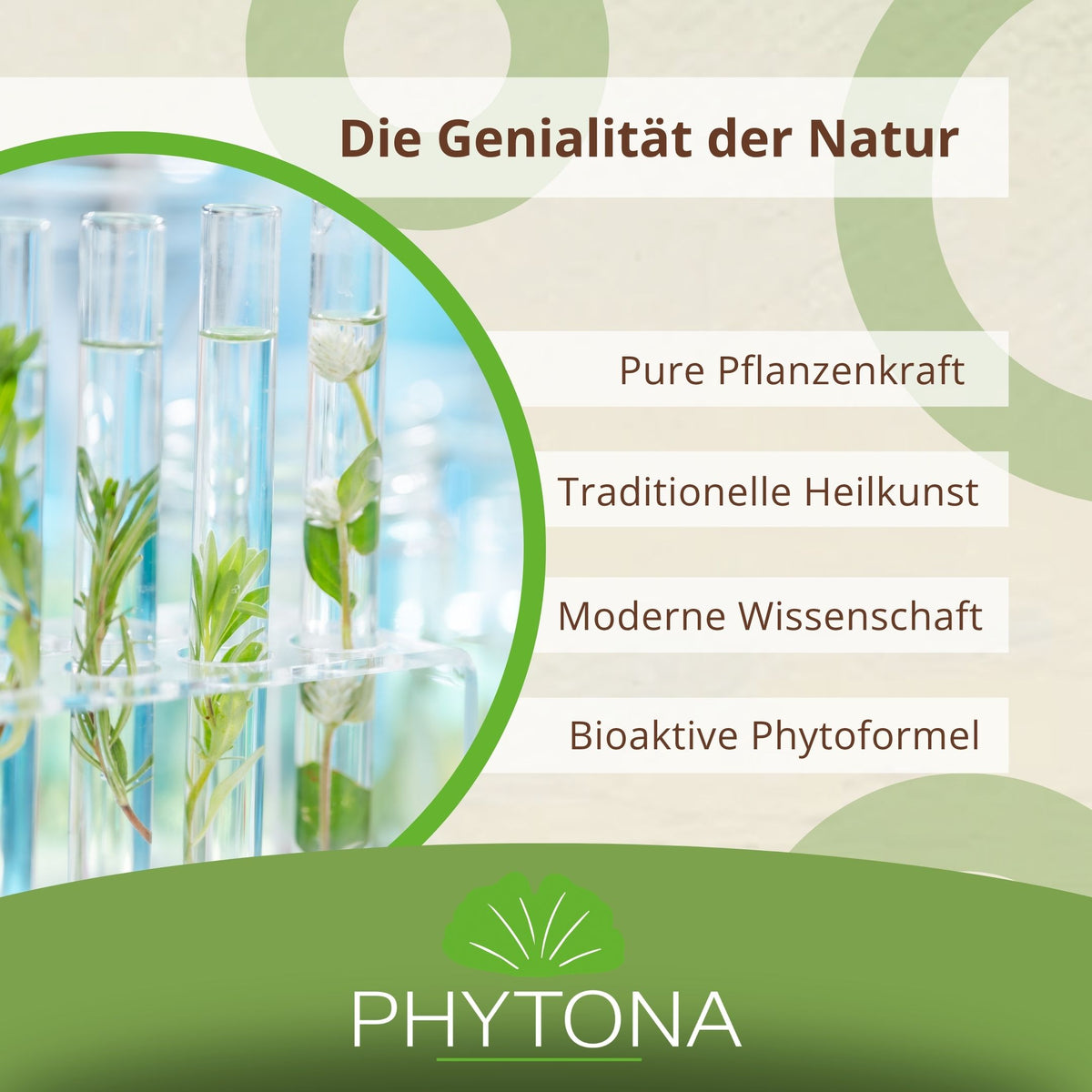 Phytona Pulmoten 1500g