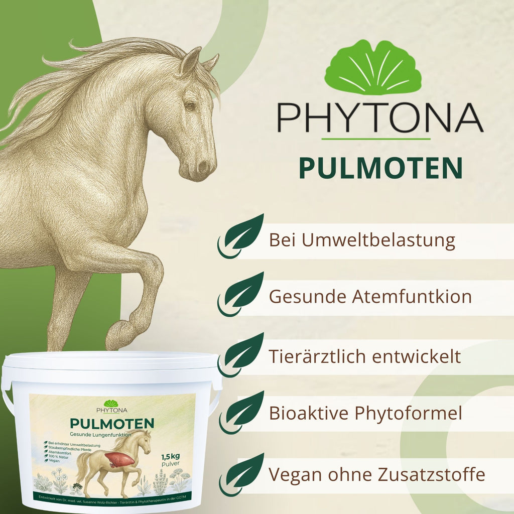 Phytona Pulmoten 1500g