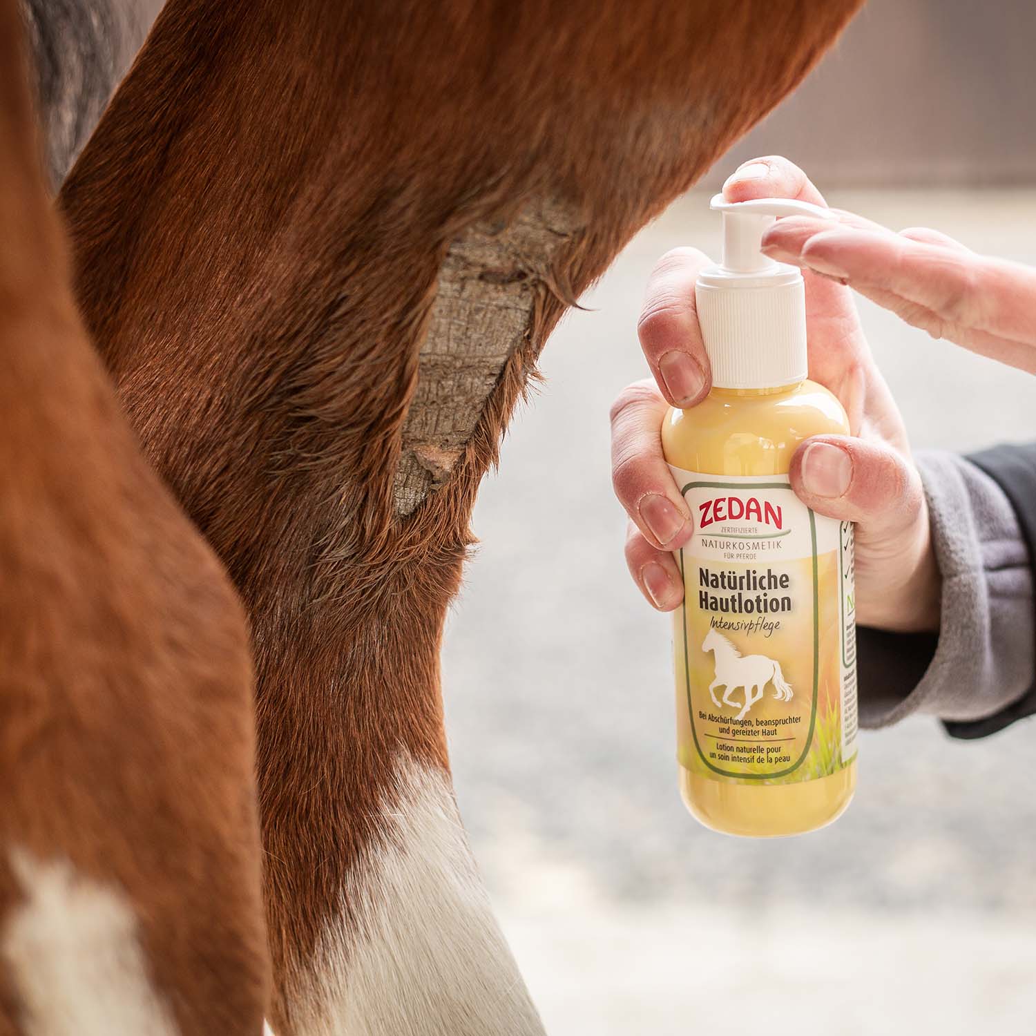 ZEDAN Natürliche Hautlotion-Intensivpflege 250ml