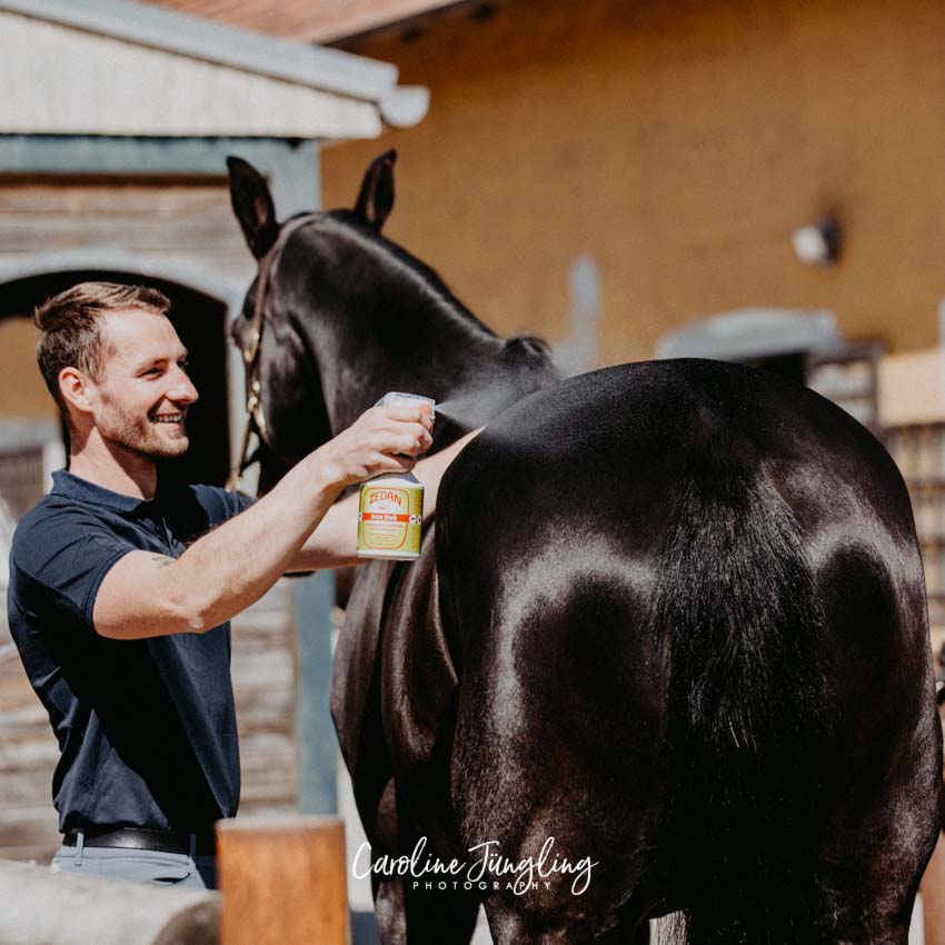 ZEDAN SP-extra stark Insektenschutz Sprühlotion 500ml