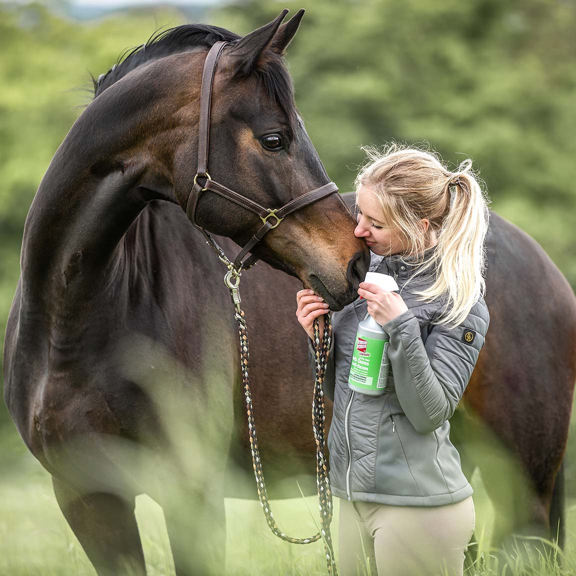 BremsenBremse classic Insektenschutz 750ml