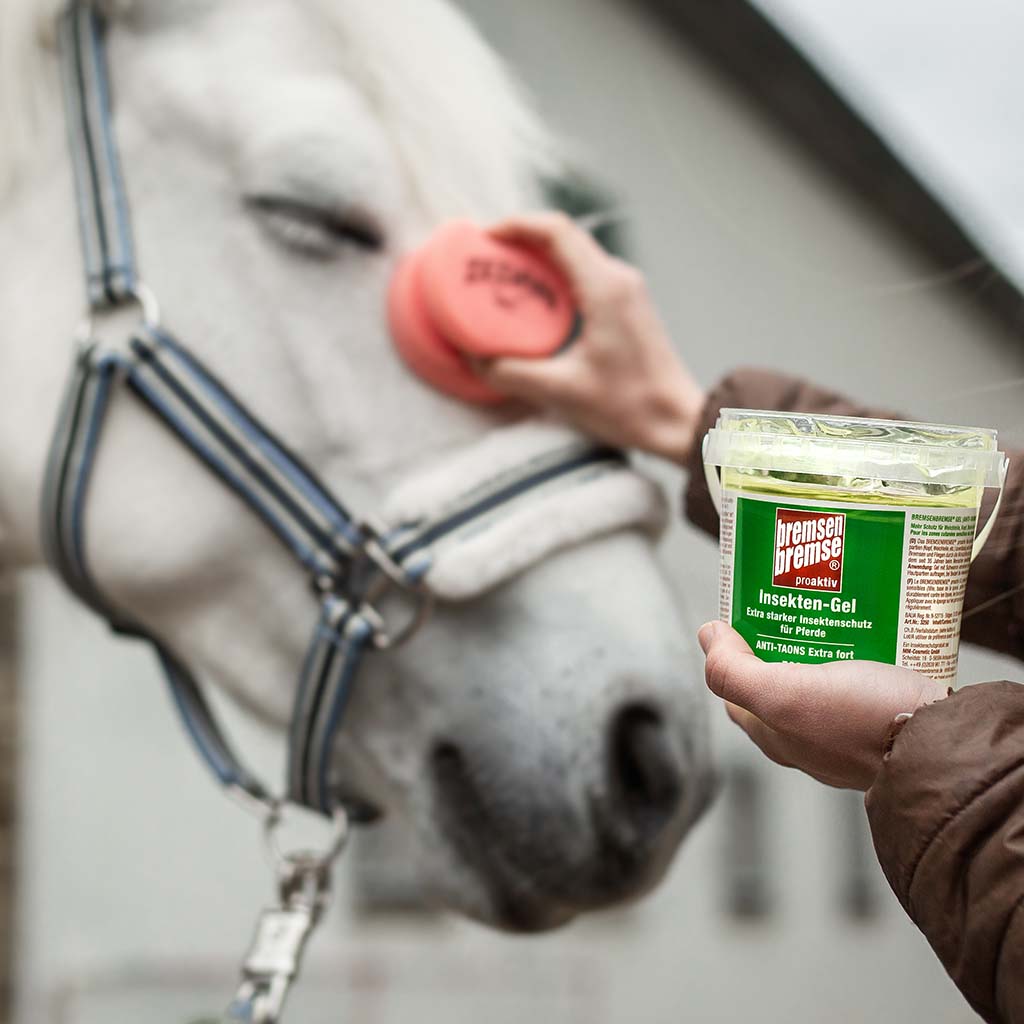 BremsenBremse proaktiv Gel mit Schwamm 500ml