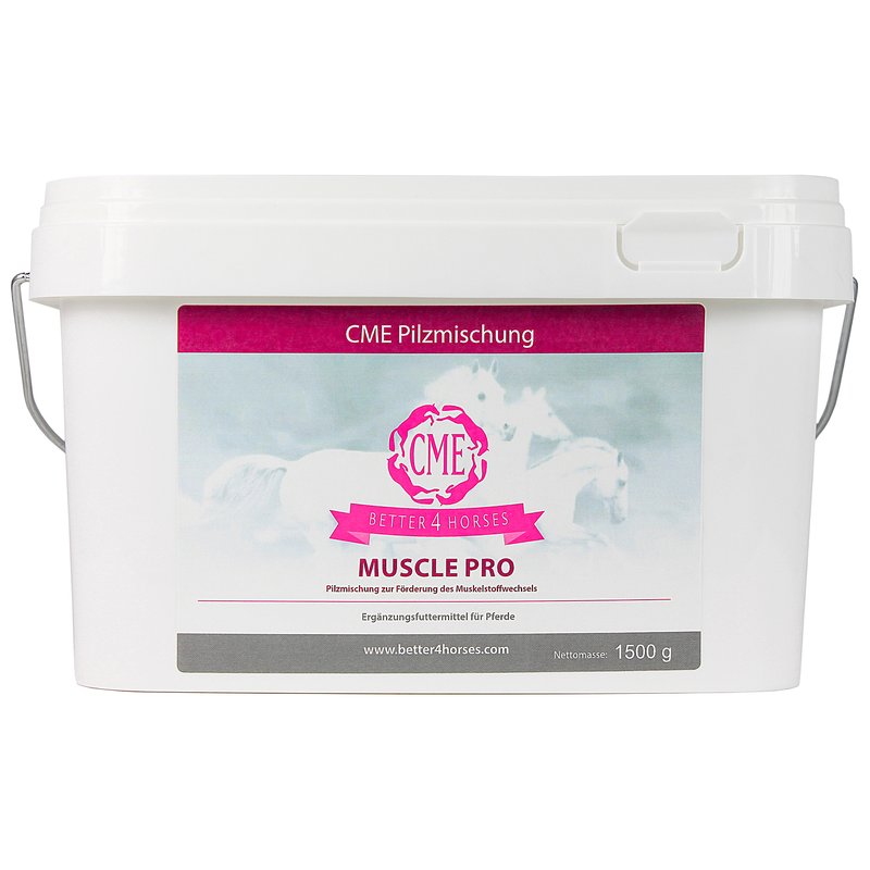 1244CMM-K3 – Bild 0