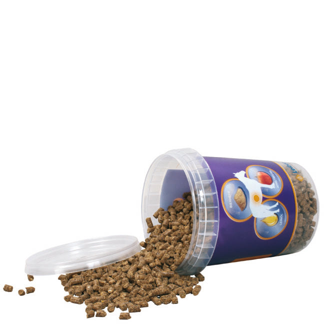 1257MAR-K12 – Bild 1