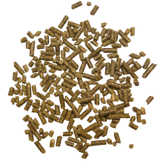 Marstall Darm-Regulator 10 kg