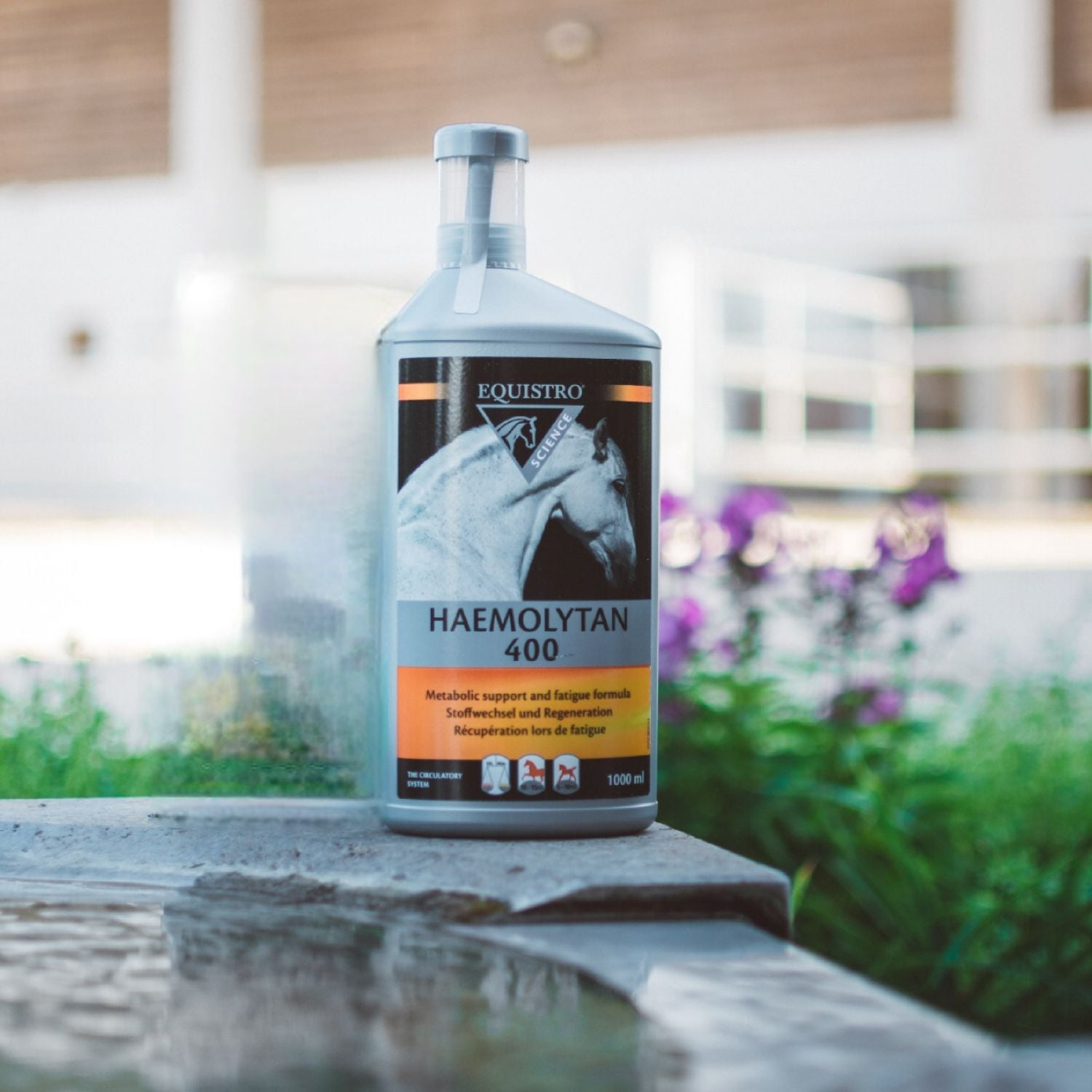 Equistro Haemolytan 400 1000 ml