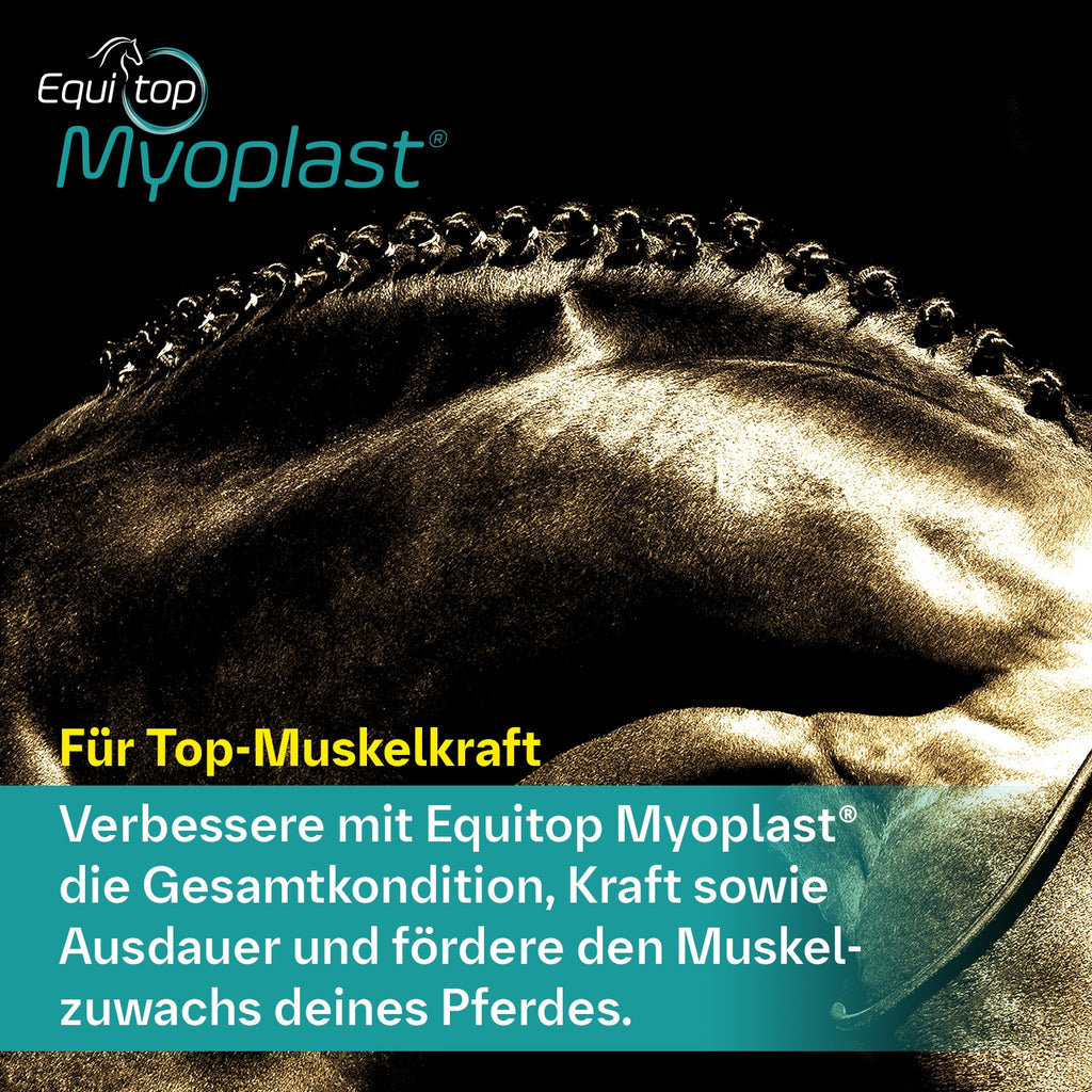 Equitop Myoplast 1,5kg Muskelaufbau Granulat