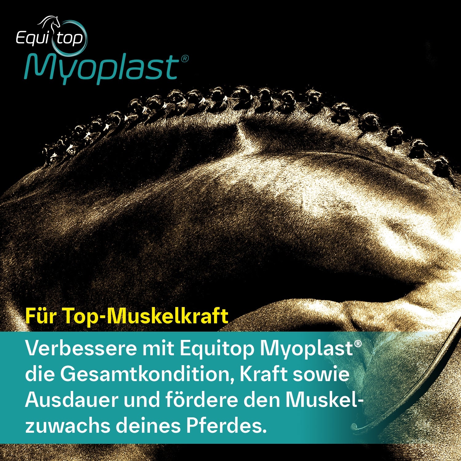 Equitop Myoplast 1,5kg Muskelaufbau Granulat