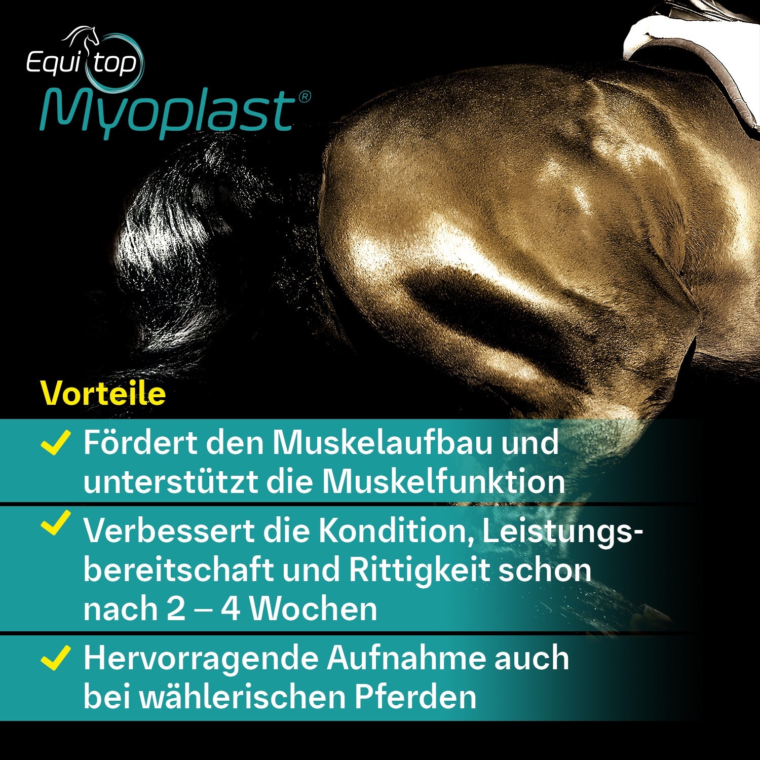 Equitop Myoplast 1,5kg Muskelaufbau Granulat