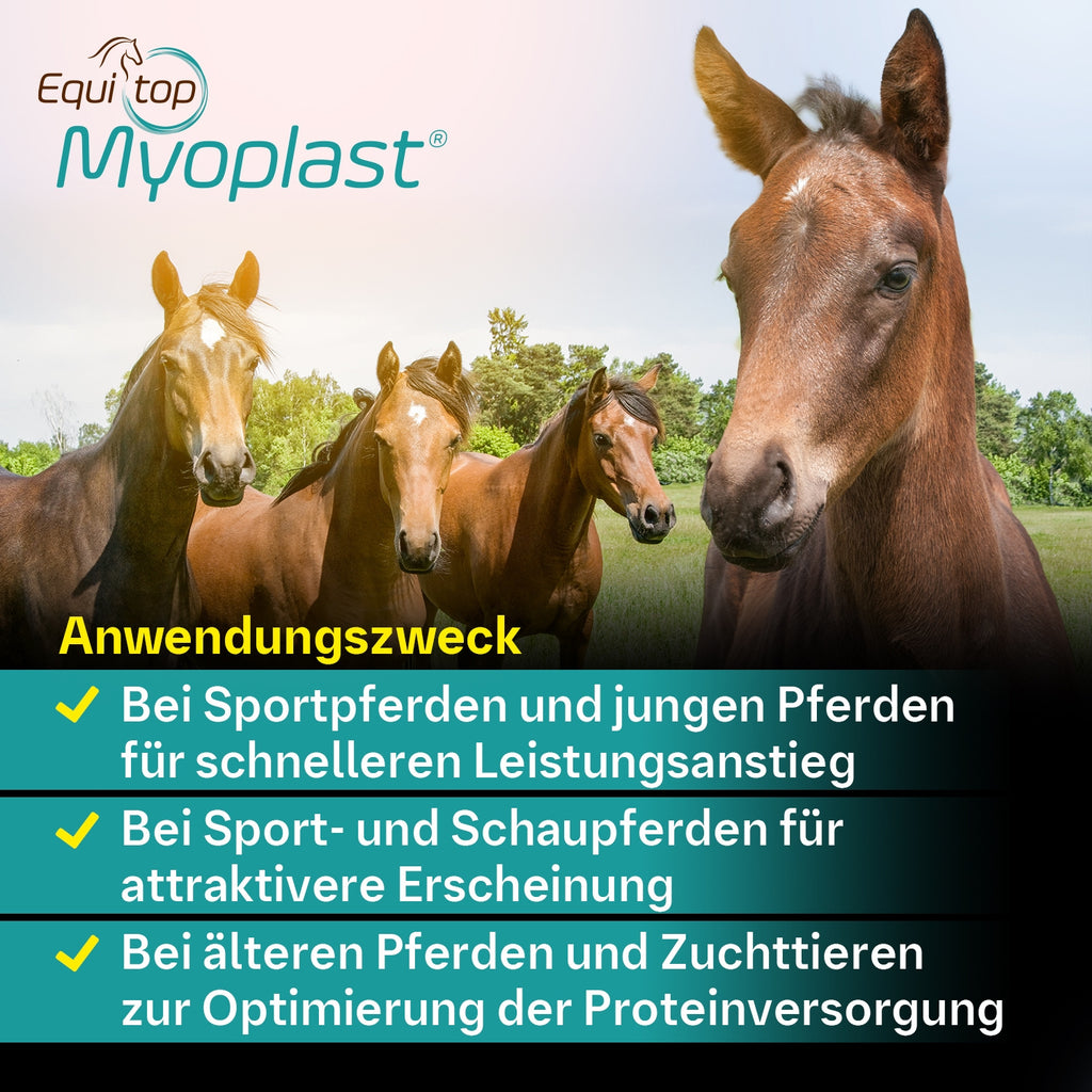 Equitop Myoplast 1,5kg Muskelaufbau Granulat