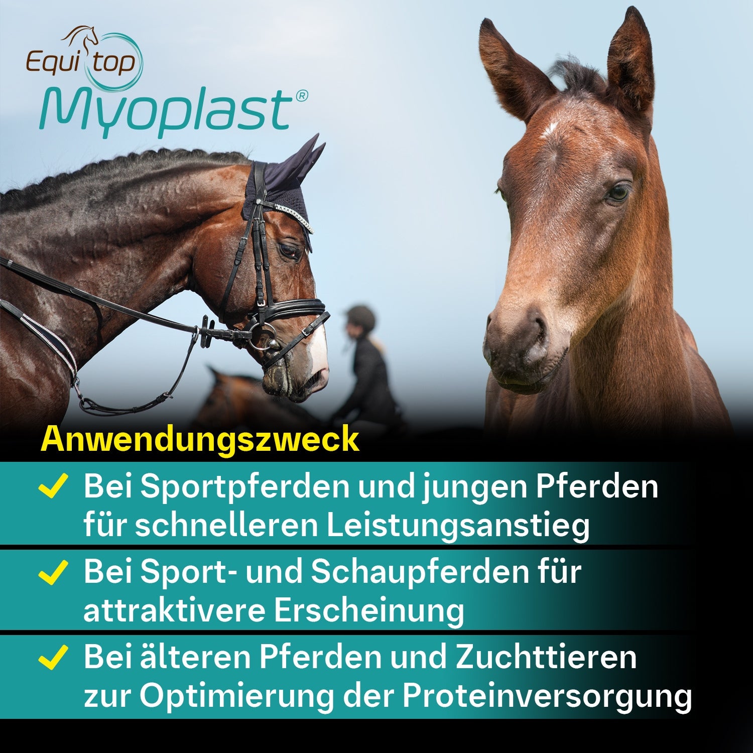 Equitop Myoplast 1,5kg Muskelaufbau Granulat